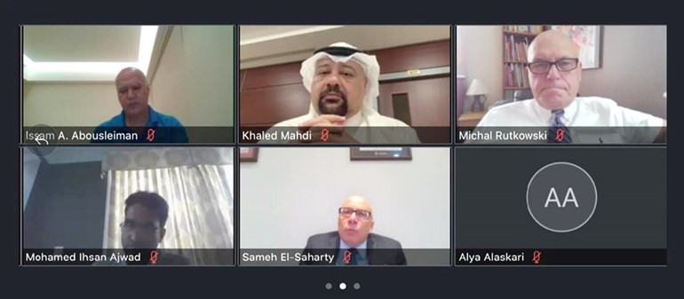 المشاركون في الندوة الافتراضية