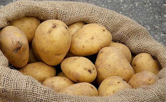 شاهد.. "نباتات بطاطا متحولة" ترعب فتاة فرنسية بعد عودتها من الحجر الصحي