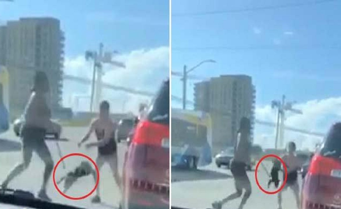 بالفيديو.. امرأتان تتشاجران  بـ "الكلب" على طريق سريع في كندا