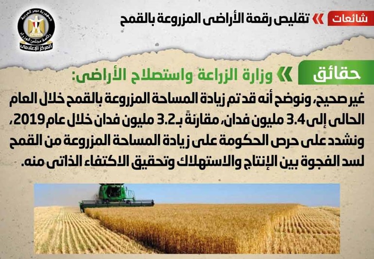 الحكومة تنفي توقيع غرامات على سيارات «تريبتك» المصريين بالخارج والأجانب رغم «كورونا»