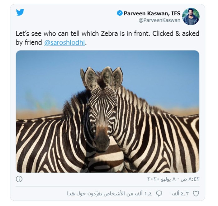 خداع بصري يثير حيرة كبيرة على مواقع التواصل