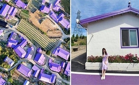 بالفيديو.. وجهة سياحية انستغرامية.. الجزيرة البنفسجية