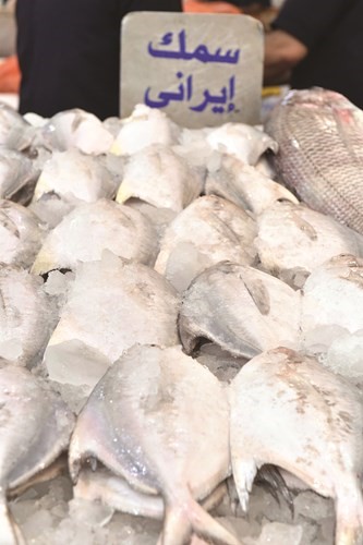 سوق السمك - متين غوزال
