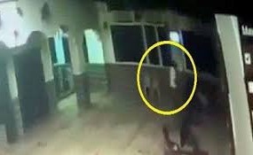 فيديو يوثق لحظة وفـاة ضابط مصري متقاعد خلال أدائه الصلاة بأحد المساجد