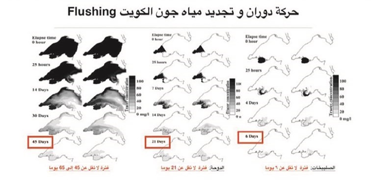 الأحمد: مراقبة مخارج الصرف الصحي تخفف الضغوط على الجون والبيئة الساحلية