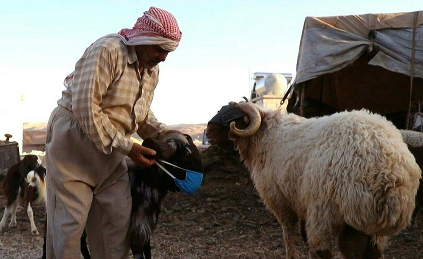 بالفيديو.. بهجة العيد تغيب عن مخيمات النازحين السوريين في إدلب