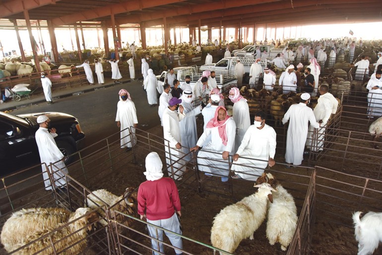الجمعيات الخيرية الكويتية والمبرات تتسابق في توزيع الأضاحي