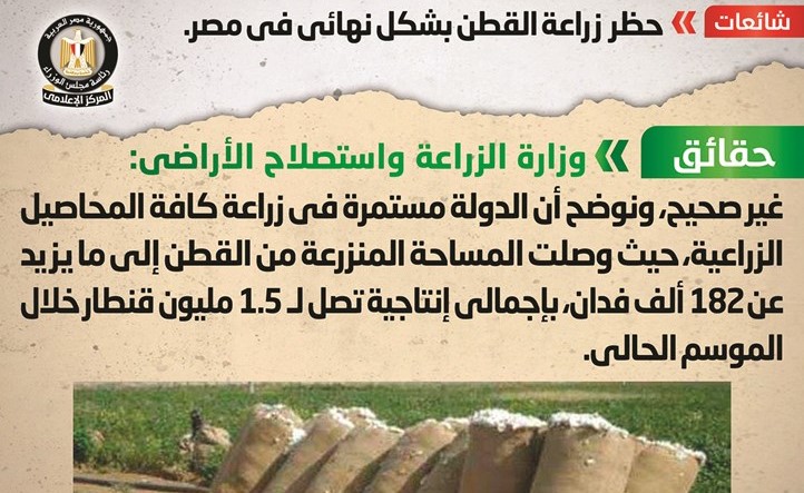 الحكومة: لا صحة لحظر زراعة القطن بشكل نهائي في مصر