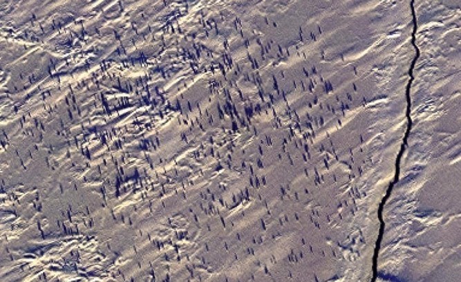 صور الفضاء تحمل مفاجأة سارة: "مستعمرات" لم يكتشفها أحد سابقا