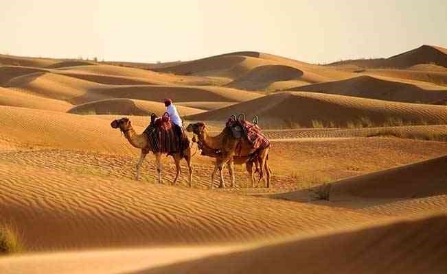 سفاري دبي يتقدم المواقع الأولى لأفضل تجارب العالم
