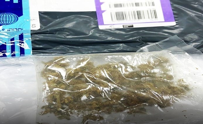 الماريغوانا احيلت إلى مكافحة المخدرات بعد تحرير محضر ضبط جمركي