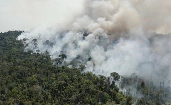 بالفيديو.. النيران تلتهم مساحات شاسعة من غابات الأمازون في البرازيل