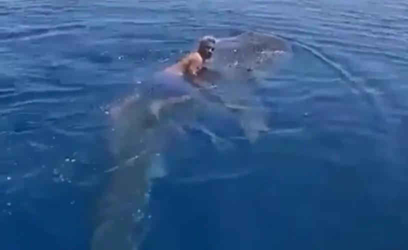السعودي أبو وديع يحكي قصة ركوبه على ظهر حوت