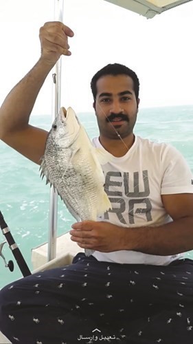 بالفيديو.. اللوغاني: الشعم يكثر بـ «الأقوع» والطبعانات ويضرب على الشريب