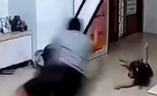 بالفيديو.. أب يطير في الهواء لإنقاذ ابنته من الموت المحقق