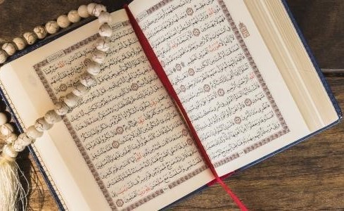 بالفيديو،،"موهبة قرآنية فذة".. طفل مصري يستحضر مواضع الآيات في المصحف