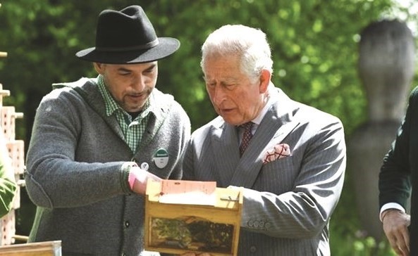 اهتمام كبير من الأمير تشالز بخلايا النحل