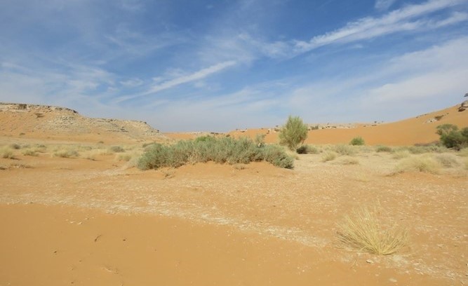 بالصور.. محمية سعودية تقع على أكبر بحر من الرمال