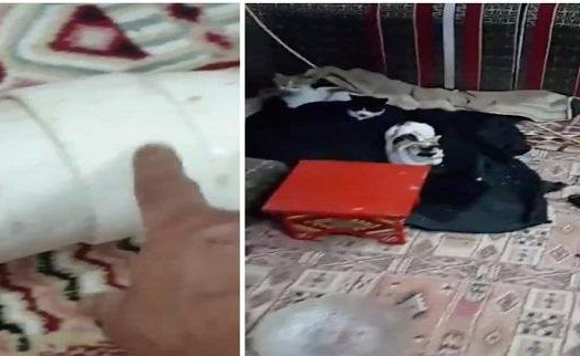 فيديو.. أبو عبد الرحمن المشهور بـ”رفيق القطط في السعودية” يتصدر “التريند” بعد وفاته .. والكشف عن وصيته الأخيرة