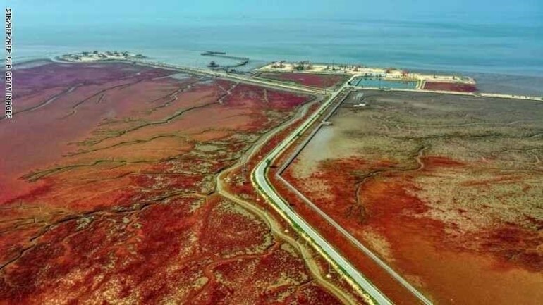 بالصور.. الشاطئ الأحمر في الصين.. رومانسية غير اعتيادية على مسطحات قرمزية اللون