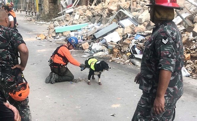 كلب من هيئة الانقاذ التشيلي يكشف عن احتمال وجود جثث أو احياء انقاض مبنى في الجميزة بعد شهر من انفجار المرفأ	(محمود الطويل)