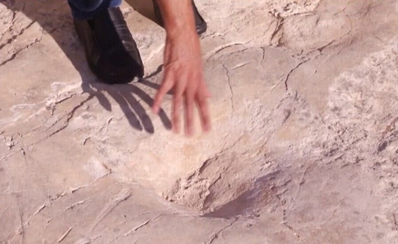 فيديو.. آثار لاقدام ديناصورات في الأراضي الفلسطينية