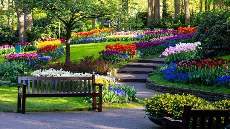 حديقة كوكينهوف الهولندية».. أكبر مصدر للسعادة في العالم