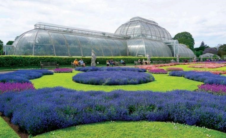 «حدائق كيو» البريطانية تنتظر محبي النباتات
