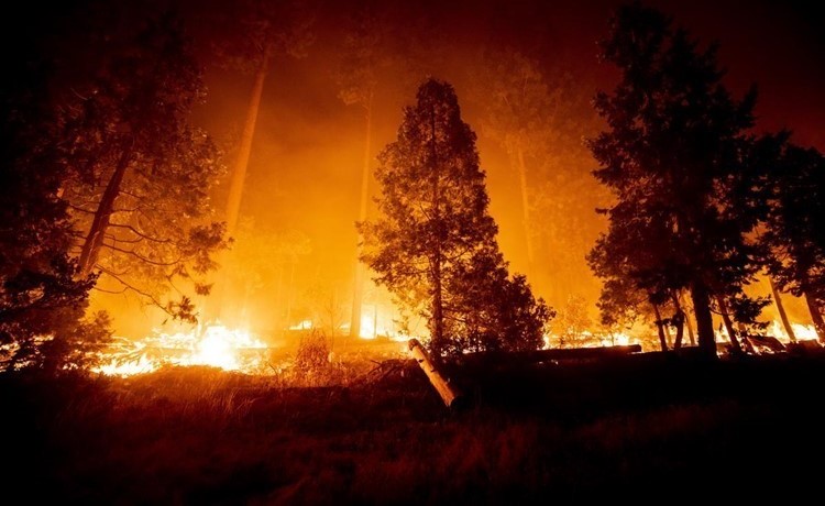 حفل للكشف عن نوع الجنين يتسبب في حريق غابات هائل بأميركا