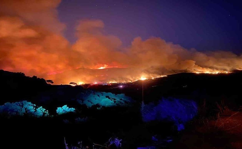 بالفيديو.. النيران تلتهم غابات كاليفورنيا