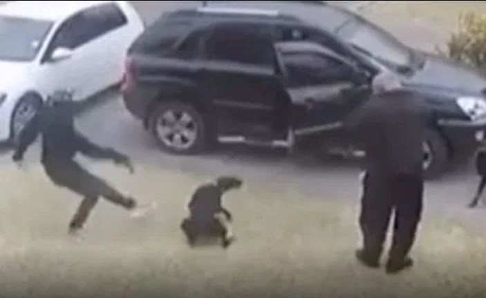 بالفيديو.. كلب شجاع يتلقى رصاصة لإنقاذ مالكه من لصين مسلحين