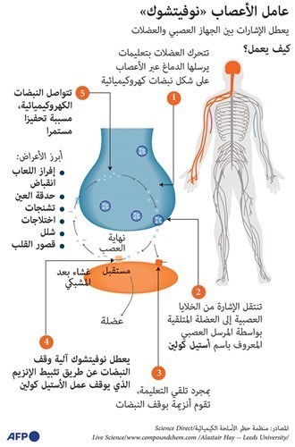 أليكسي نافالني المعارض الصلب الذي يعاند السم والموت..وپوتين