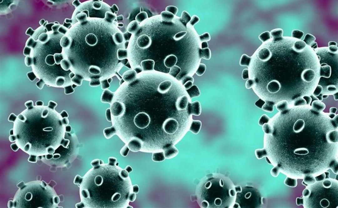 باحثون يكتشفون المدخل الذي يستخدمه فيروس كوفيد-19 لدخول الخلايا البشرية
