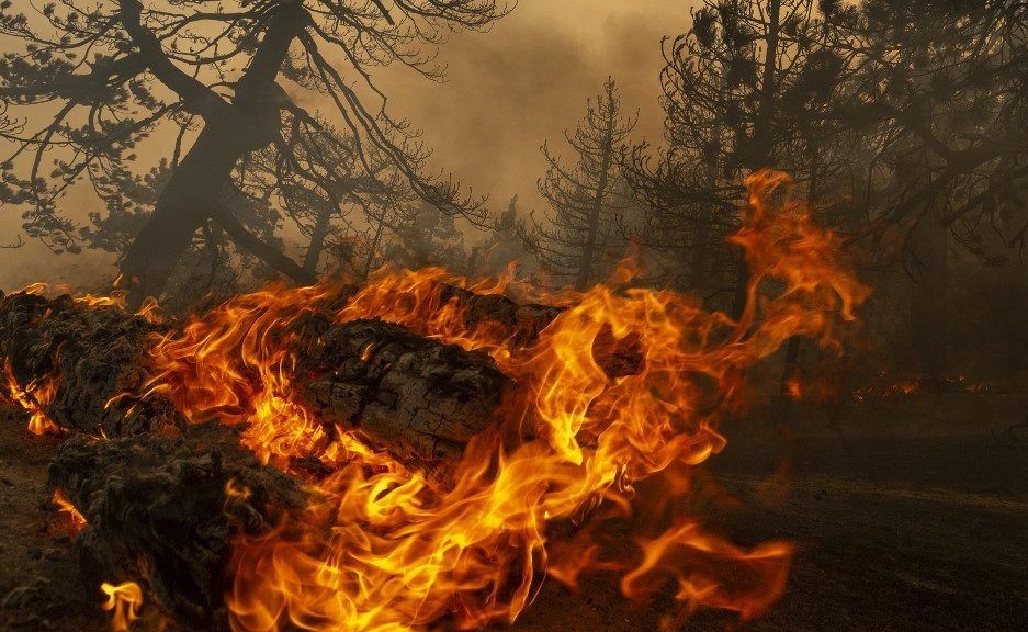 سلطات البيئة البرازيلية ترسل بألوية كاملة من قوات الإطفاء لمكافحة حرائق الغابات