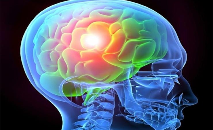 الإنسان يولد بجزء في المخ مُعد مسبقا لرؤية الكلمات