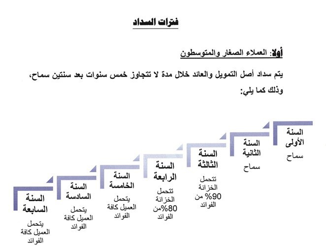 6 جهات حكومية عن «الضمان المالي».. القانون بريء مما تعلمون