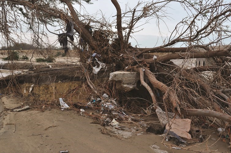 تدمير الاشجار وانكشاف جذورها وتحطم وحدات التصريف في وادي الاحمدي في نوفمبر 2018