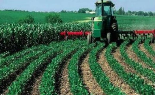 تطوير طريقة فحص للمكونات الخطرة في المنتجات الزراعية