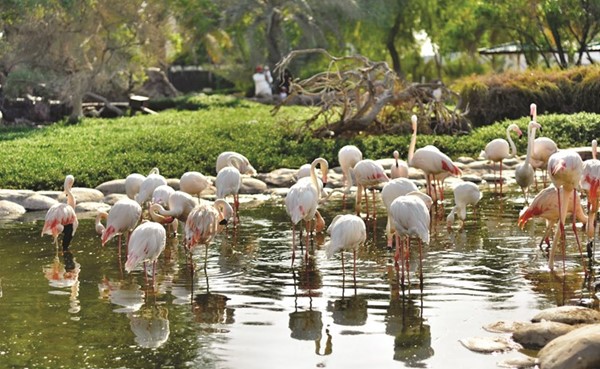 حديقة الدندر في السودان من أهم مناطق الجذب السياحي