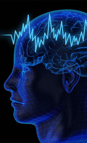 موجات الدماغ عالية التردد تساعد في تحديد الاختلافات بين الماضي والحاضر