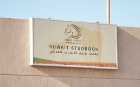 مكتب سجل الأنساب الكويتي لتسجيل أنساب الخيول