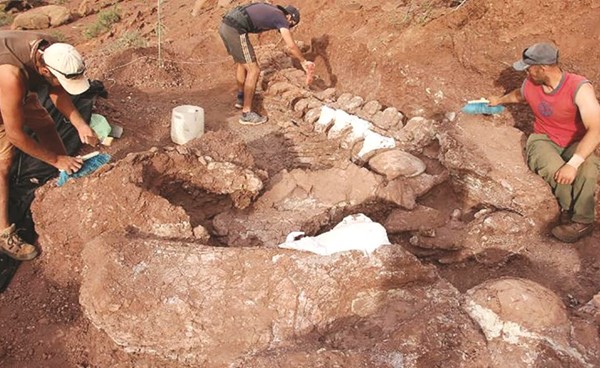 الحفائر التي عثر عليها للديناصور