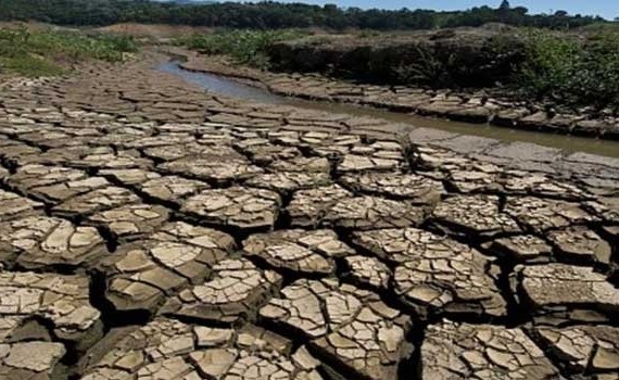 الجفاف في البرازيل يهدد محاصيل بن أرابيكا