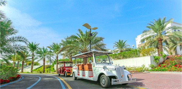 AUM تحقق مركزاً مرموقاً على مستوى الجامعات في تصنيف Green Metric العالمي للاستدامة البيئية والتنمية الاجتماعية