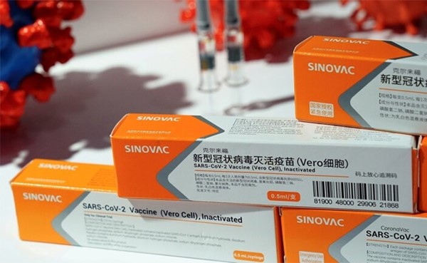 زيادة قدرة الإنتاج السنوية للقاح سينوفاك الصيني