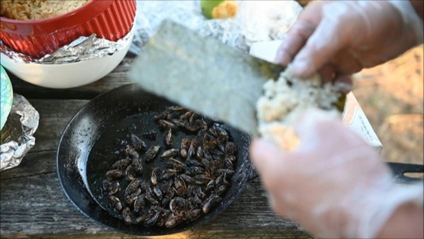 بالفيديو.. في الولايات المتحدة السوشي بالزيز... طبق لذيذ