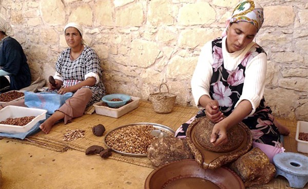 نساء المغرب بارعات في صناعة زيت الأركان