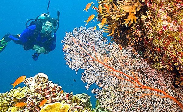 أستراليا تحاول تفادي إدراج اليونسكو الحاجز المرجاني على قائمة المعالم المهددة