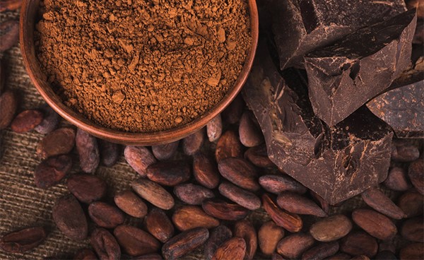 بيانات تصنيع الكاكاو تشير إلى عودة الطلب على الشوكولاتة مجددا في أوروبا