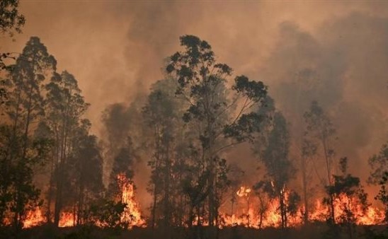 أطقم الطوارئ تكافح لإخماد حرائق غابات هائلة شرق روسيا